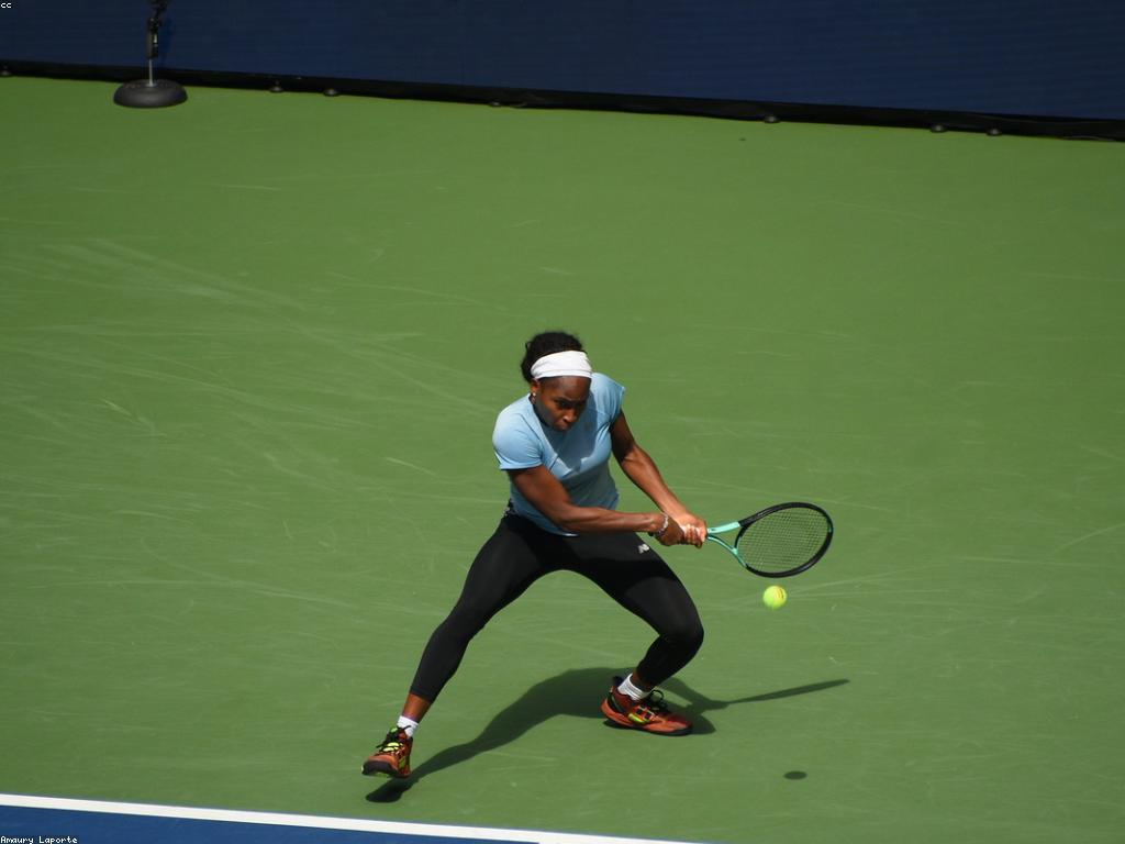 សម្ភារៈសម្រាប់អ្នកលេង: ការប្រើប្រាស់និងការប្រើប្រាស់សម្ភារៈគ្រប់ប្រភេទ